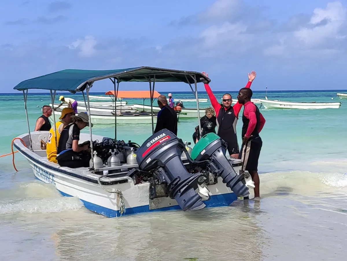Galéria – DiveTime Zanzibar, Kizimkazi (1)