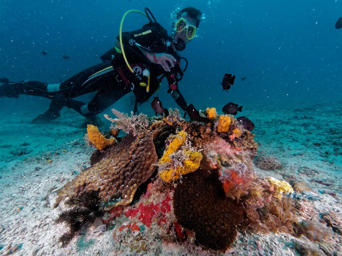 Galéria – DiveTime Zanzibar, Kizimkazi (13)
