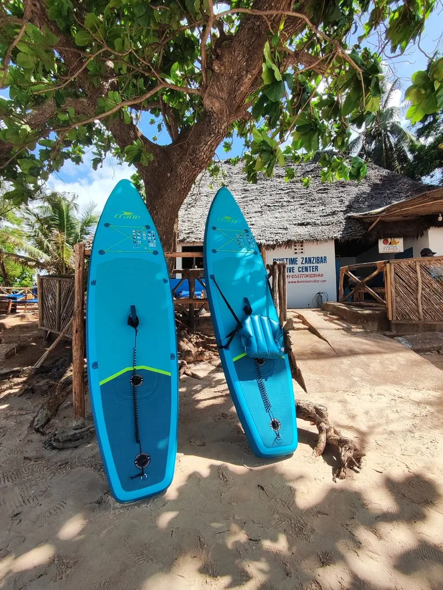 Galéria – DiveTime Zanzibar, Kizimkazi (25)