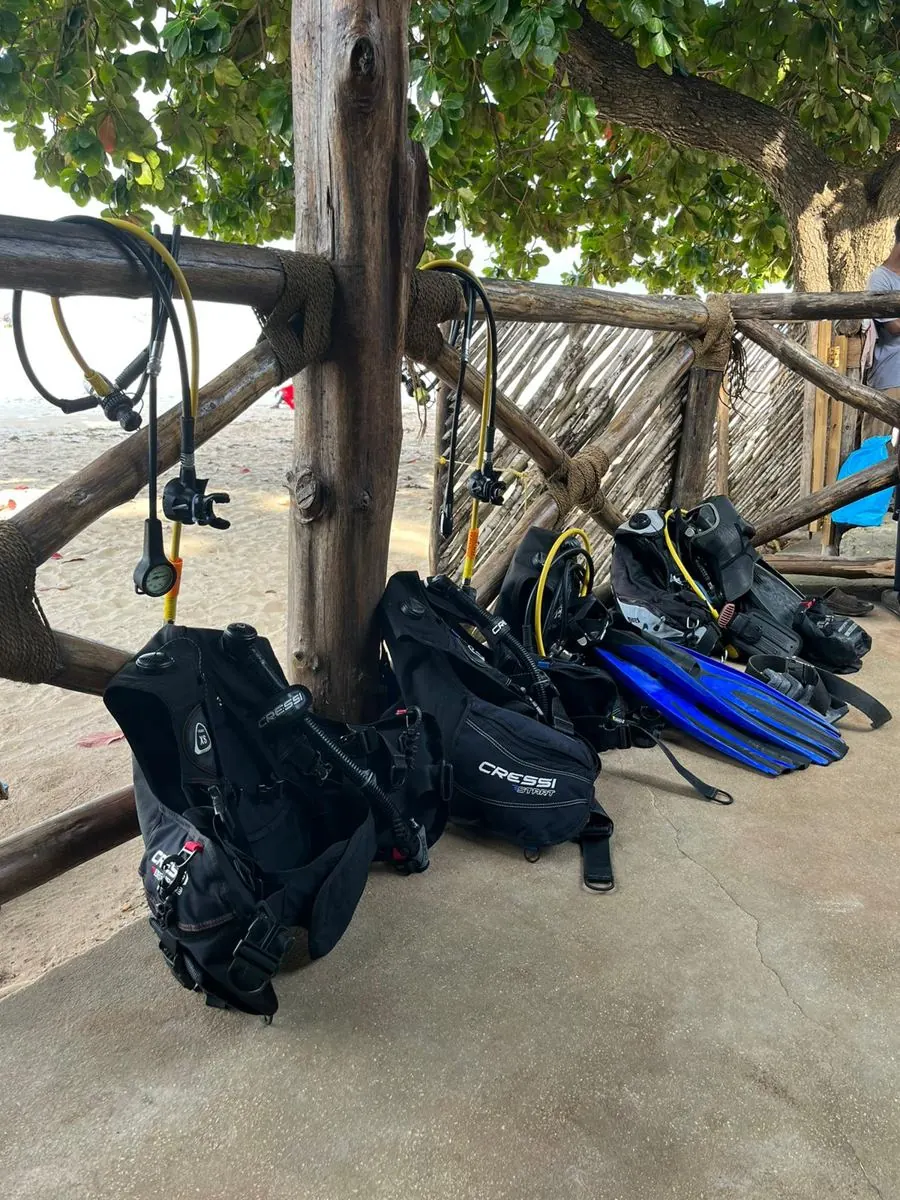Galéria – DiveTime Zanzibar, Kizimkazi (27)