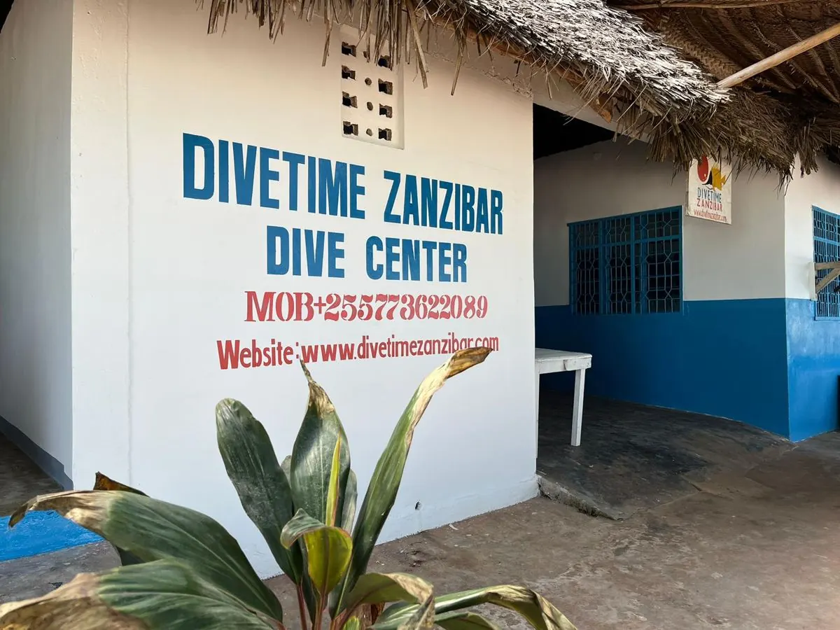 Galéria – DiveTime Zanzibar, Kizimkazi (28)