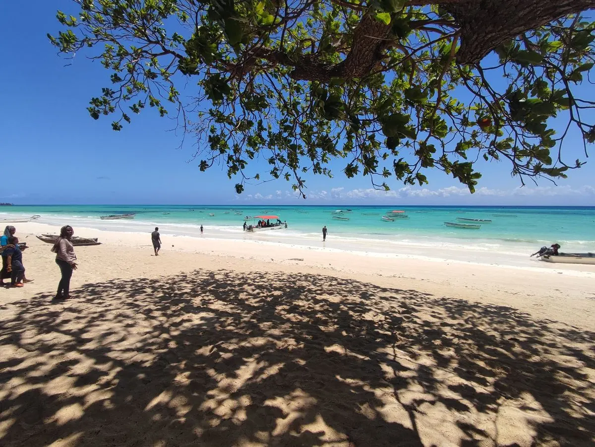Galéria – DiveTime Zanzibar, Kizimkazi (34)
